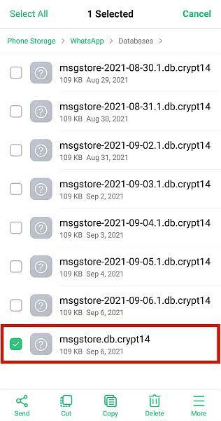 WhatsApp Chats From Local Backup